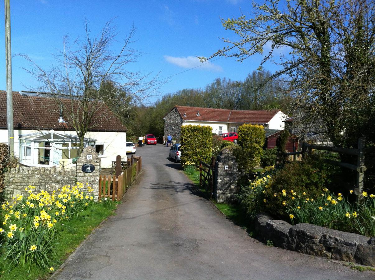 Greyfield Farm Cottages Farmborough Εξωτερικό φωτογραφία
